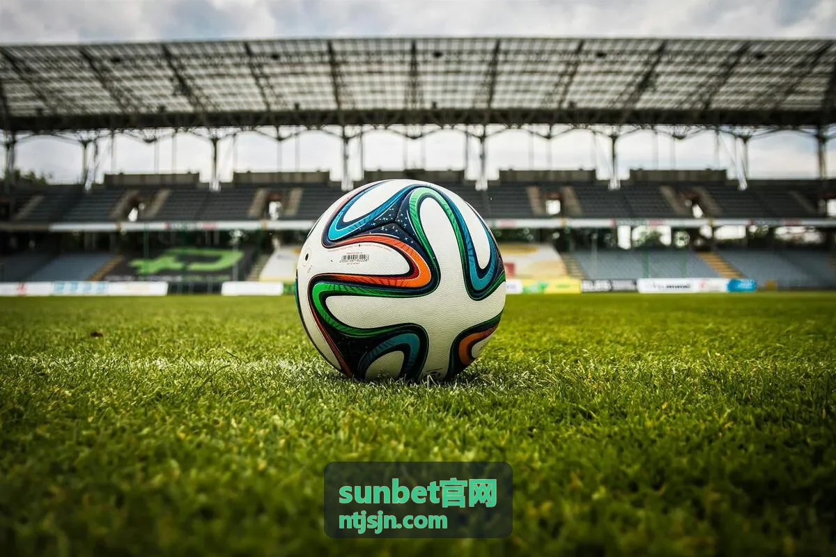 sunbet官网 热播片库都市题材剧集封面